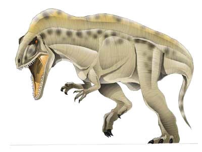 Acrocanthosaurus Atokensis