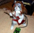 /album/como-se-ve-la-crema-en-ti-/gato-gracioso1-jpg/